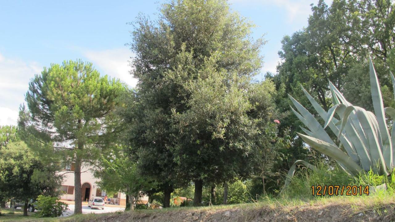 Locanda San Marino Al Coppo Monte Grimano Terme エクステリア 写真